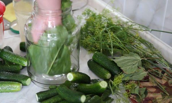 การดองแตงกวา