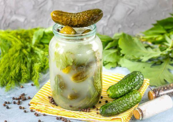 แตงกวากับมัสตาร์ด