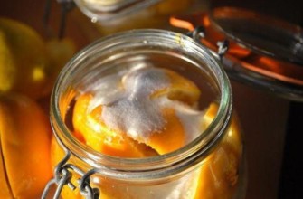 มะนาวและน้ำตาล