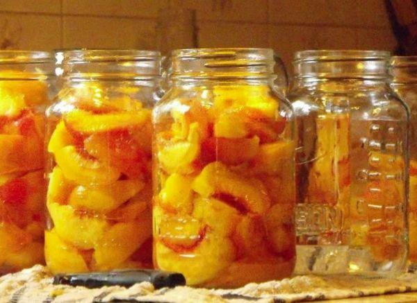 ผักกาดดอง