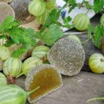 แยมและเบอร์รี่