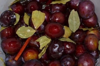 เตรียมอาลาคา