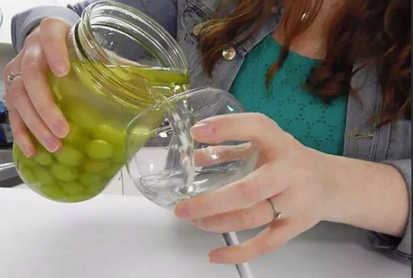 องุ่นเมา