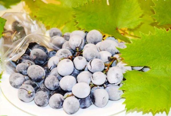 พวงองุ่น