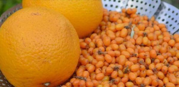 ซีบัคธอร์นกับส้ม