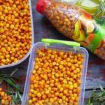 ผลซีบัคธอร์น