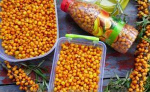 14 สูตรเด็ดทีละขั้นตอนสำหรับการเตรียมซีบัคธอร์นสำหรับฤดูหนาว