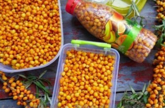 ผลซีบัคธอร์น