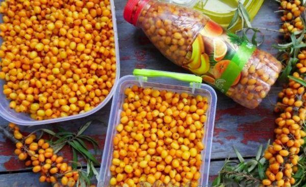 ผลซีบัคธอร์น