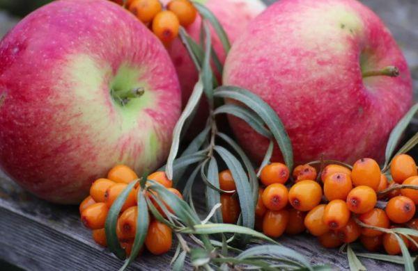 ซีบัคธอร์นและแอปเปิ้ล