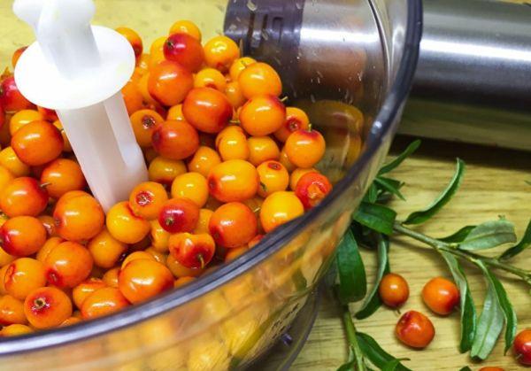 ซีบัคธอร์นในเครื่องปั่น