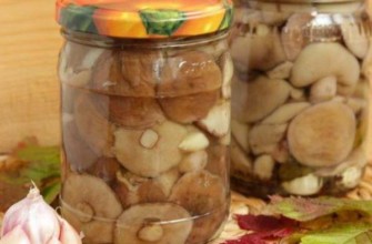 โหลเห็ด