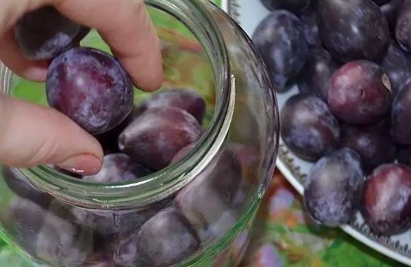 prunes sans stérilisation