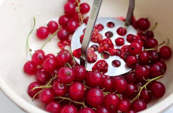 ลูกเกดแดง