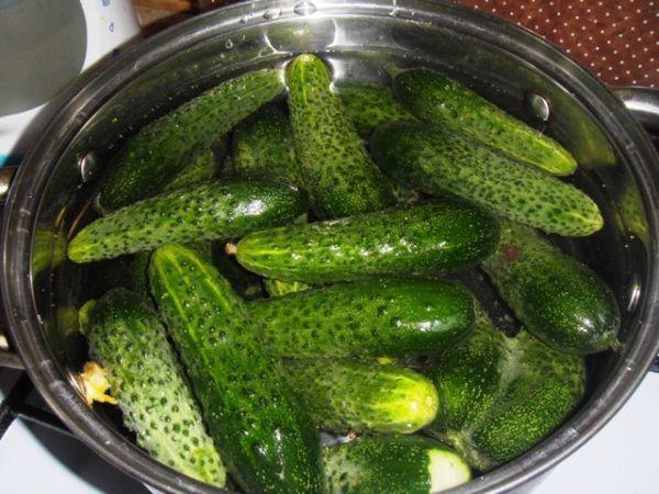 การเค็มแบบเย็น