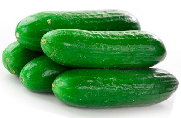 แตงกวาในเรือนกระจก