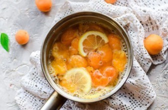 แยมมะนาว-แอปริคอต