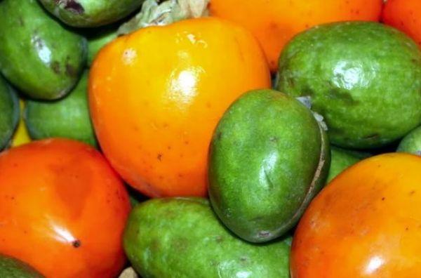 เฟยโจอาและลูกพลับ