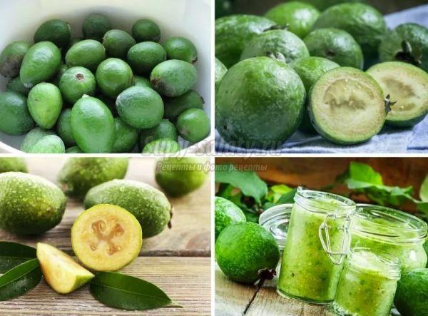 แยมสำหรับฤดูหนาว