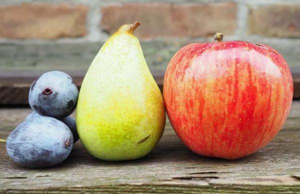 ลูกพลัม ลูกแพร์ แอปเปิ้ล