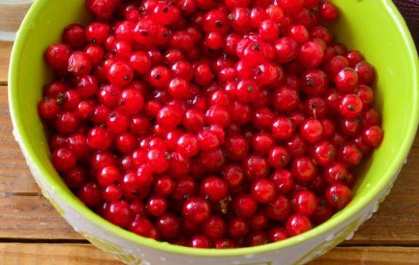 เบอร์รี่สีแดง