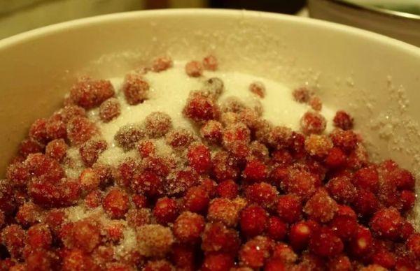 ผลเบอร์รี่ป่า