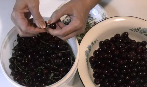 เชอร์รี่ที่เตรียมไว้