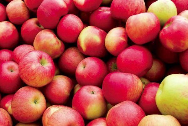 แอปเปิ้ลสีแดง