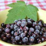 ลูกเกดดำ