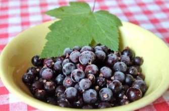 ลูกเกดดำ