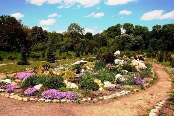 การออกแบบสวน