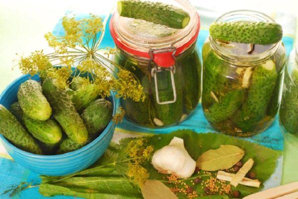 แตงกวาในน้ำเกลือ