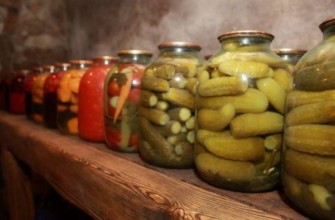 ห้องเก็บของใต้ดิน