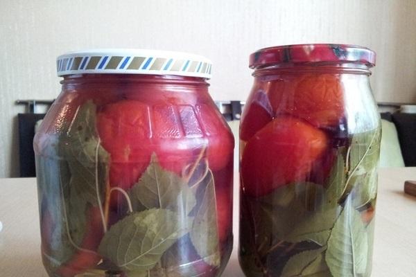 การโค้ชที่บ้าน