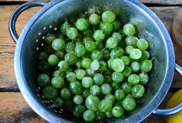 เบอร์รี่สีเขียว