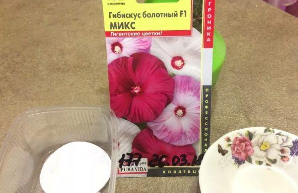 เมล็ดพันธุ์ดอกไม้