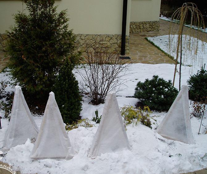 ที่พักพิงดอกไม้