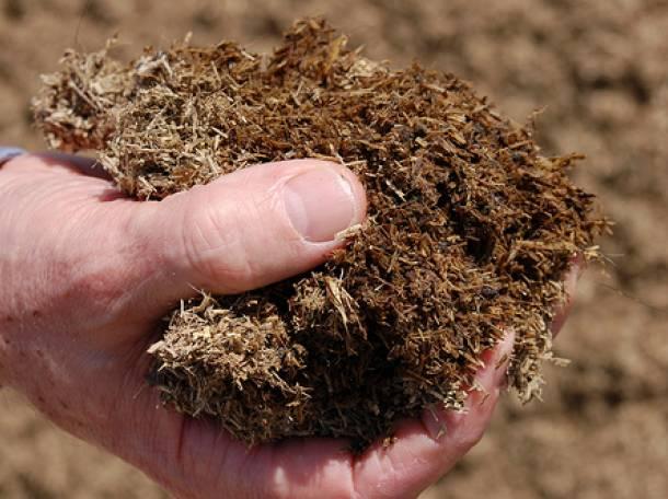 ฮิวมัสในมือ