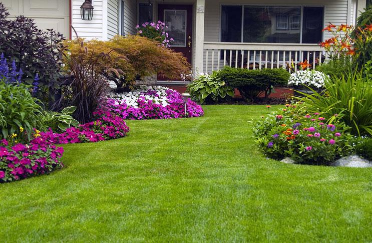 การเลือกและเตรียมสถานที่