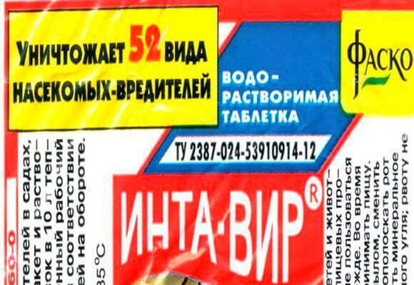 อินตา-เวียร์