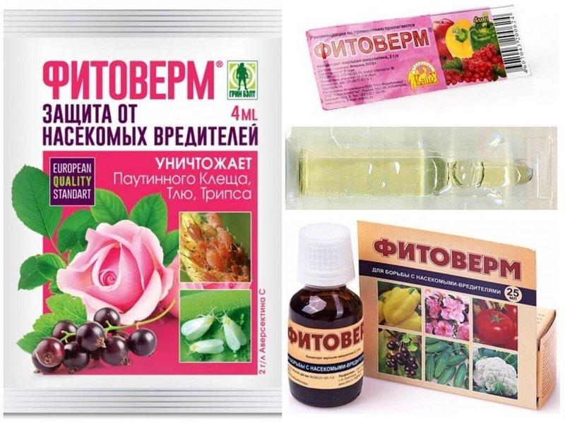 ยาฟิโตเวอร์ม