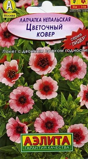 พรมดอกไม้