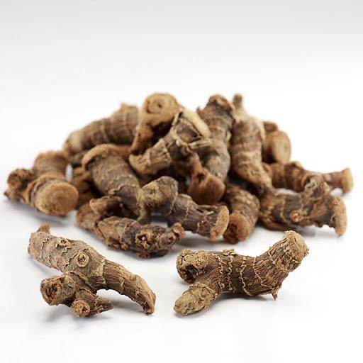 โพเทนทิลลา เอเร็กตา