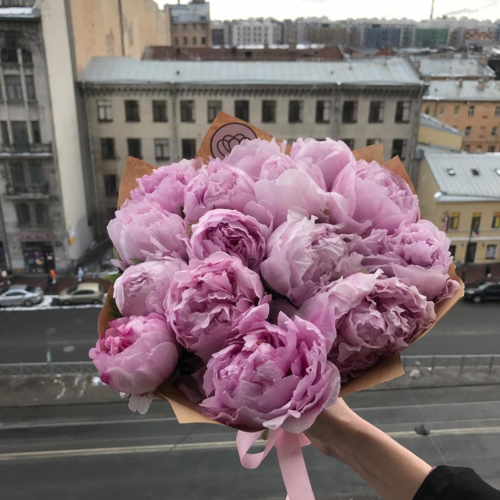 ดอกโบตั๋นสีชมพู