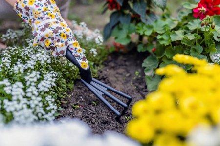 การคลายดอกไม้