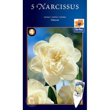 เมล็ดพันธุ์ดอกไม้