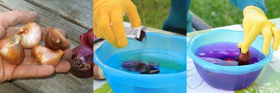 การประมวลผลหลอดไฟ