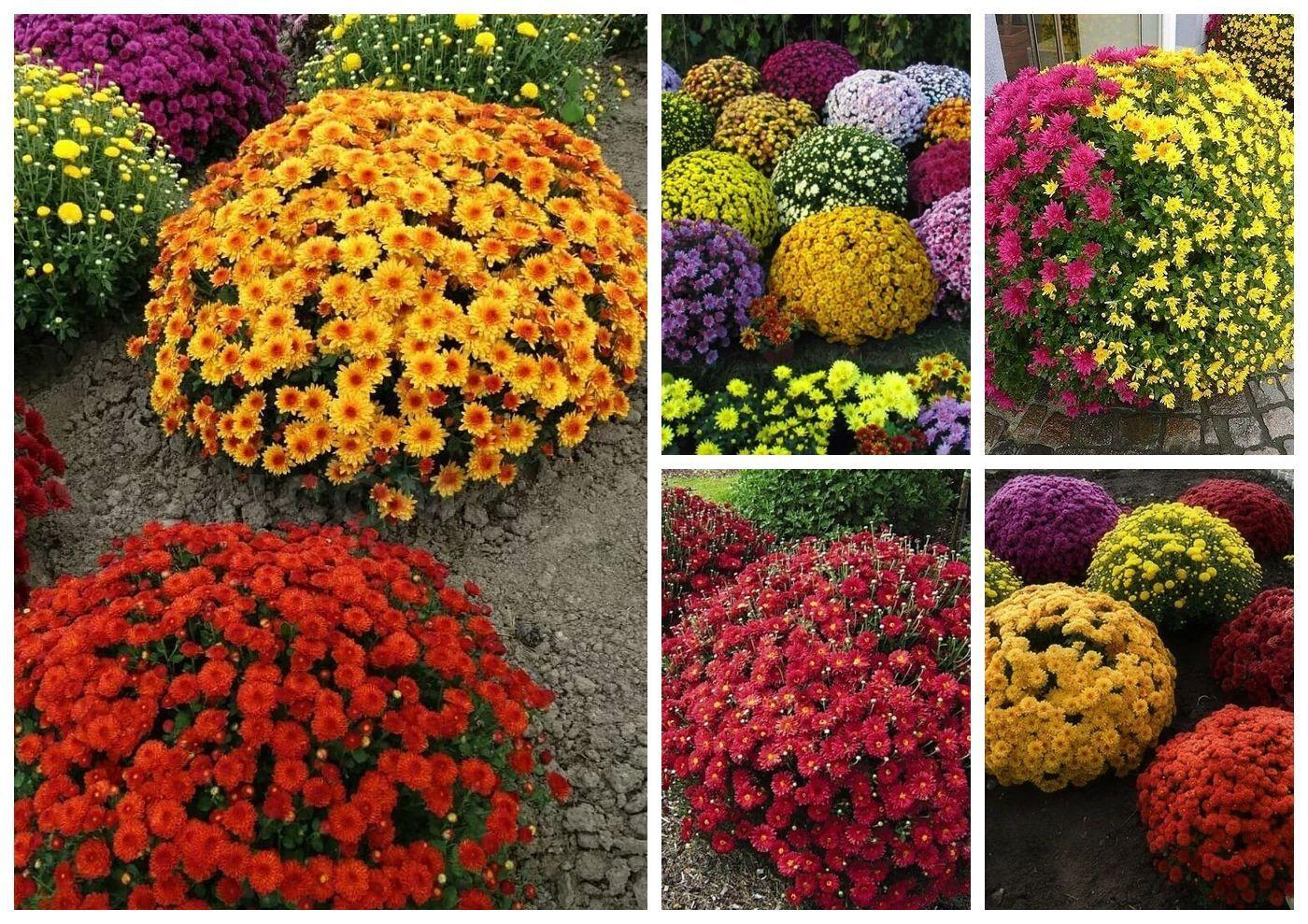 การเตรียมตัวรับมือฤดูหนาว