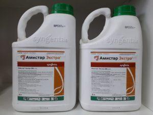 คำแนะนำในการใช้และการผสมสารป้องกันเชื้อรา Amistar Extra และสารประกอบที่คล้ายกัน