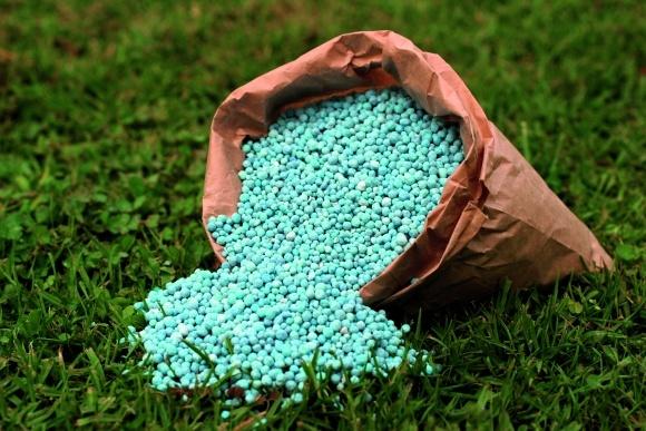 ปุ๋ยสำหรับดอกไม้